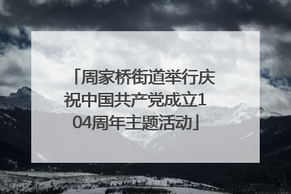 周家桥街道举行庆祝中国共产党成立104周年主题活动