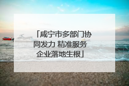 咸宁市多部门协同发力 精准服务企业落地生根
