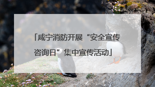 咸宁消防开展“安全宣传咨询日”集中宣传活动