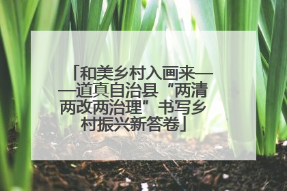 和美乡村入画来——道真自治县“两清两改两治理”书写乡村振兴新答卷