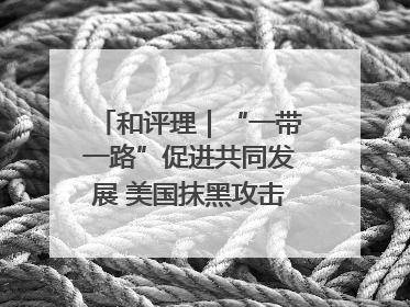 和评理｜“一带一路”促进共同发展 美国抹黑攻击酸味十足