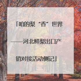 咱的梨“香”世界——河北鲜梨出口产销对接活动侧记