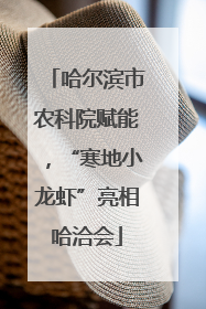 哈尔滨市农科院赋能，“寒地小龙虾”亮相哈洽会
