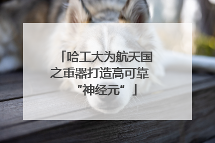 哈工大为航天国之重器打造高可靠“神经元”