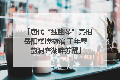唐代“独幽琴”亮相岳阳楼博物馆 千年琴韵洞庭湖畔苏醒