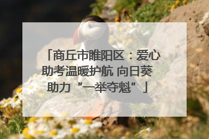 商丘市睢阳区：爱心助考温暖护航 向日葵助力“一举夺魁”