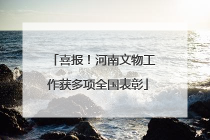 喜报！河南文物工作获多项全国表彰