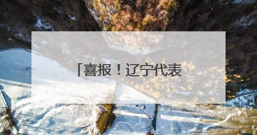 喜报！辽宁代表队在全国计量职业技能比武活动中斩获多个奖项