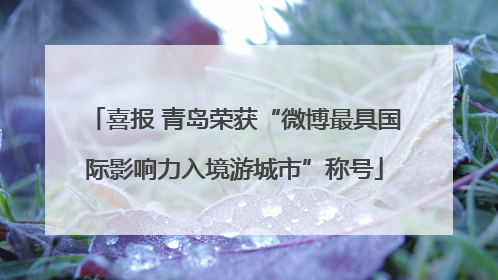 喜报 青岛荣获“微博最具国际影响力入境游城市”称号