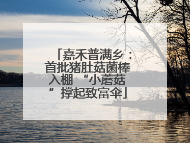 嘉禾普满乡：首批猪肚菇菌棒入棚 “小蘑菇”撑起致富伞