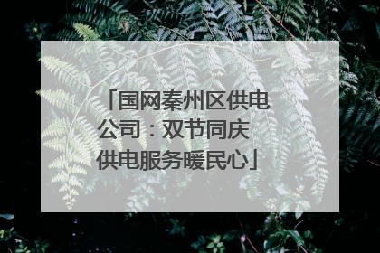 国网秦州区供电公司：双节同庆 供电服务暖民心