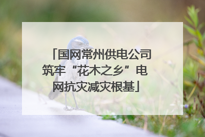 国网常州供电公司筑牢“花木之乡”电网抗灾减灾根基