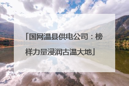 国网温县供电公司：榜样力量浸润古温大地