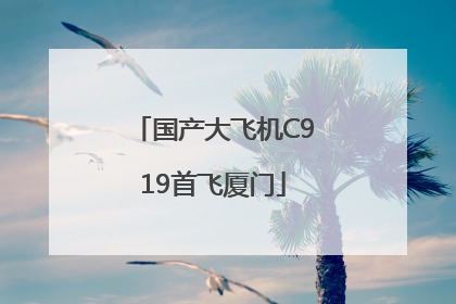 国产大飞机C919首飞厦门