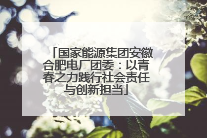 国家能源集团安徽合肥电厂团委：以青春之力践行社会责任与创新担当