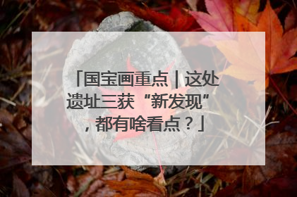 国宝画重点｜这处遗址三获“新发现”，都有啥看点？