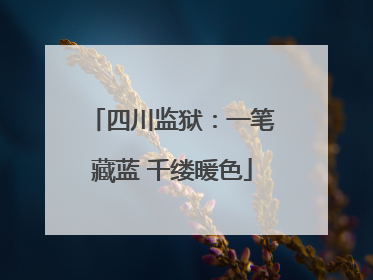 四川监狱：一笔藏蓝 千缕暖色