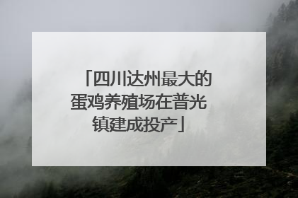 四川达州最大的蛋鸡养殖场在普光镇建成投产