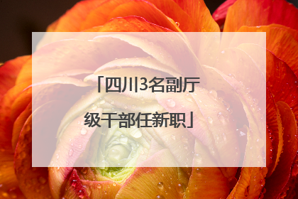四川3名副厅级干部任新职