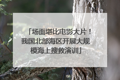 场面堪比电影大片！我国北部海区开展大规模海上搜救演训