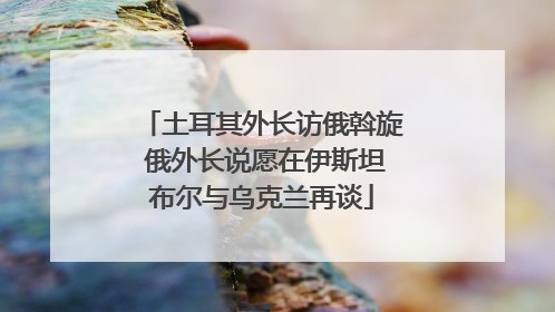 土耳其外长访俄斡旋 俄外长说愿在伊斯坦布尔与乌克兰再谈