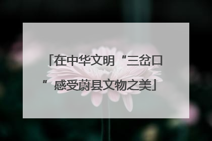 在中华文明“三岔口”感受蔚县文物之美