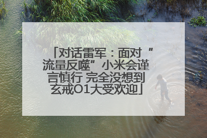 对话雷军：面对“流量反噬”小米会谨言慎行 完全没想到玄戒O1大受欢迎