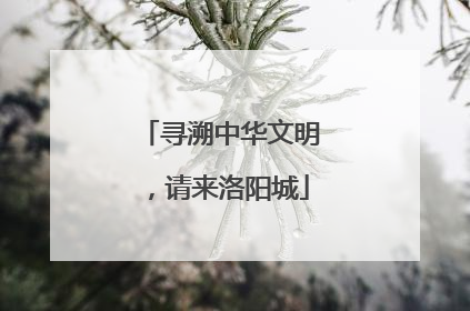 寻溯中华文明，请来洛阳城