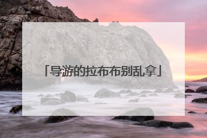 导游的拉布布别乱拿