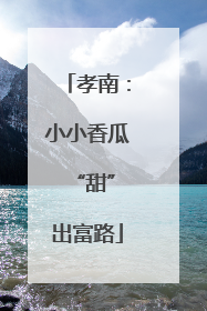 孝南：小小香瓜 “甜”出富路