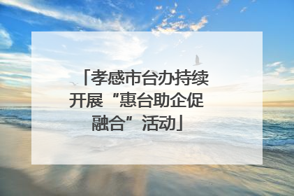 孝感市台办持续开展“惠台助企促融合”活动