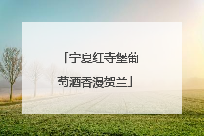 宁夏红寺堡葡萄酒香漫贺兰