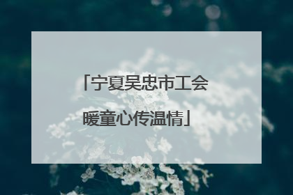 宁夏吴忠市工会暖童心传温情