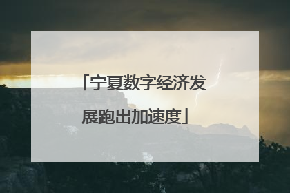 宁夏数字经济发展跑出加速度