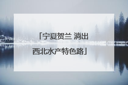 宁夏贺兰 淌出西北水产特色路