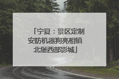 宁夏：景区定制安防机器狗亮相镇北堡西部影城