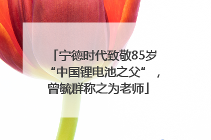 宁德时代致敬85岁“中国锂电池之父”，曾毓群称之为老师