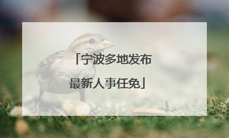 宁波多地发布最新人事任免