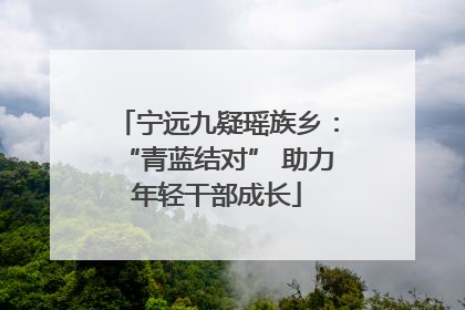 宁远九疑瑶族乡：“青蓝结对” 助力年轻干部成长