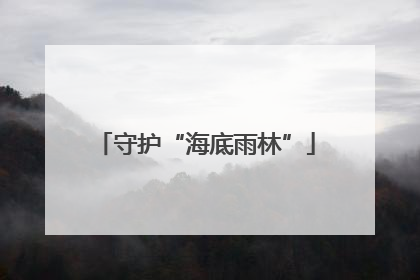 守护“海底雨林”