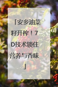 安乡油菜籽开榨！7D技术锁住营养与香味