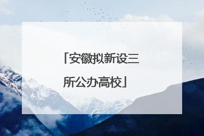 安徽拟新设三所公办高校