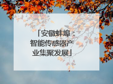 安徽蚌埠：智能传感器产业集聚发展