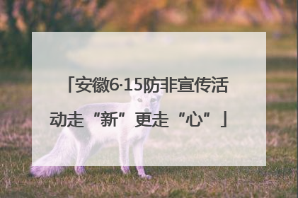 安徽6·15防非宣传活动走“新”更走“心”