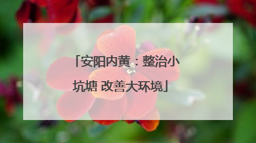 安阳内黄：整治小坑塘 改善大环境