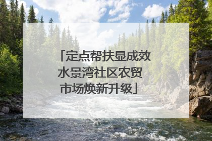 定点帮扶显成效 水景湾社区农贸市场焕新升级