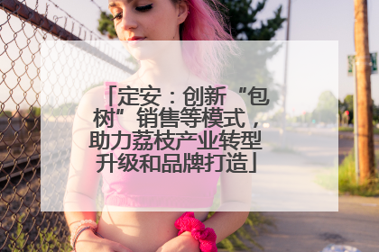 定安：创新“包树”销售等模式，助力荔枝产业转型升级和品牌打造