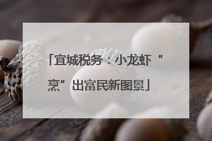 宜城税务：小龙虾“烹”出富民新图景
