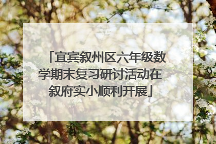 宜宾叙州区六年级数学期末复习研讨活动在叙府实小顺利开展