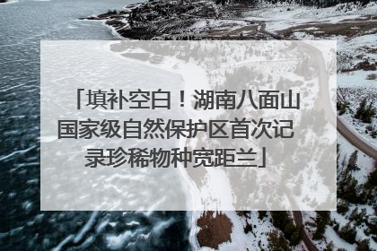填补空白！湖南八面山国家级自然保护区首次记录珍稀物种宽距兰